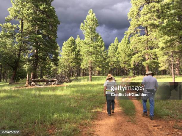 couple hiking in a ponderosa pine forest - flagstaff arizona stock pictures, royalty-free photos & images