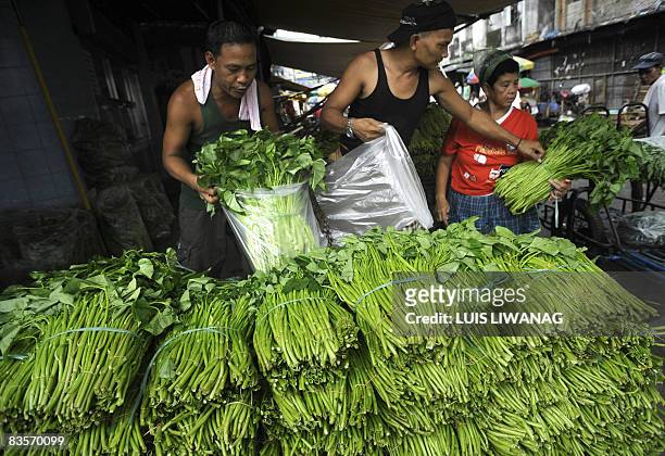 Vendors sort out vegetables for sale at the Divisoria market in Manila on October 20, 2008. Rising cost of fuel and basic commodities are hitting...