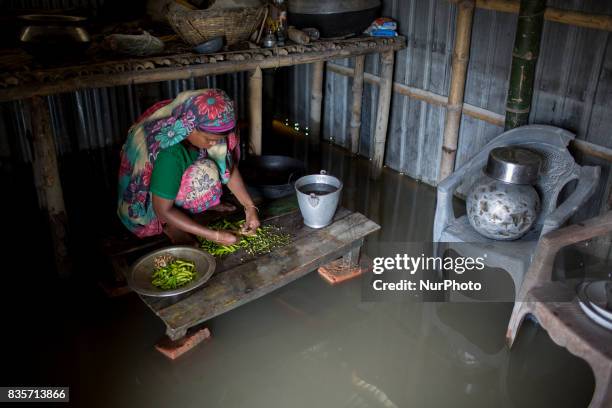 Woman prepares a meal through the flood water in a village of Gaibandha, Bangladesh. August 19, 2017. Gaibandha is a district in Northern Bangladesh....