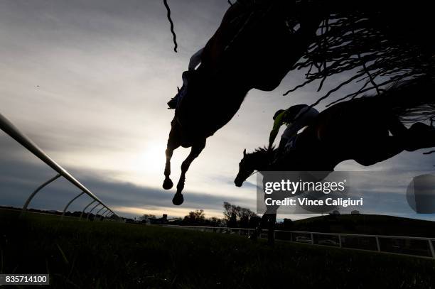 Lee Horner riding Trouble Bound jumps alongside John Allen riding The Narcissest in Race 5 Open Steeplchase during The Grand National Steeple Day on...