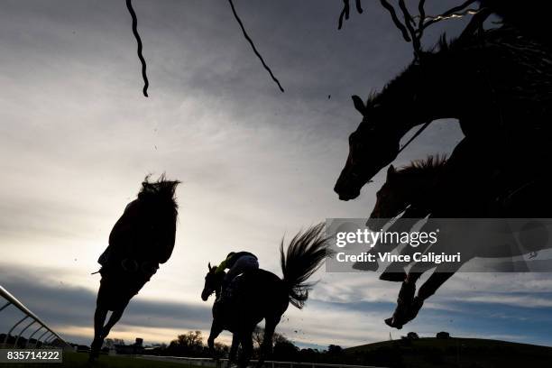 Lee Horner riding Trouble Bound on races to win Race 5 Open Steeplchase during The Grand National Steeple Day on August 20, 2017 in Ballarat,...