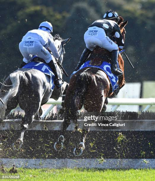 John Allen riding Chequered Flag and Lee Horner riding Don't Be Shy in Race 4 JJ Houlahan Hurdle during The Grand National Steeple Day on August 20,...