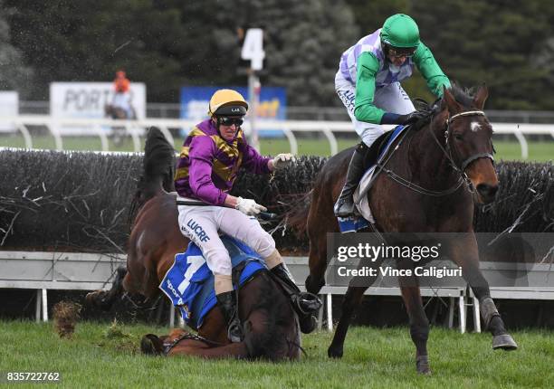 Richard Cully riding Wells races past Brad McLean aboard Sea King who fell at the 2nd Last Steeple on his way to winning Race 6 Grand National...