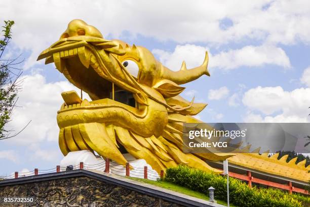 Meter-long dragon shaped corridor stretches along the Feilong Lake on August 19, 2017 in Zunyi, Guizhou Province of China. A 8-meter-wide,...