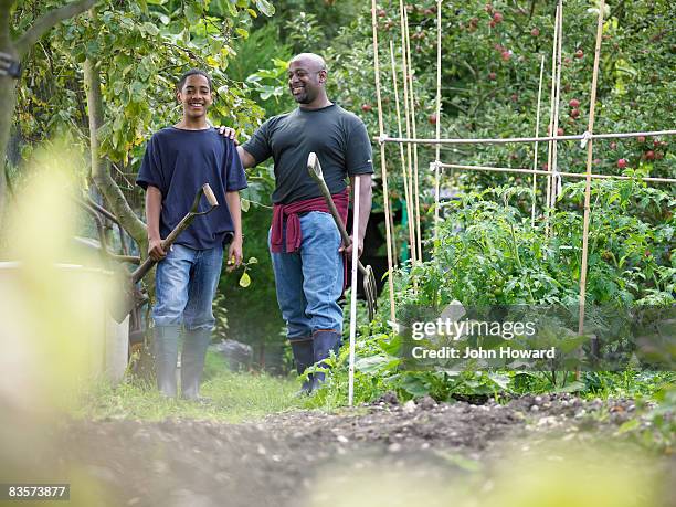 father and teenage son at alottment - community garden family stock pictures, royalty-free photos & images