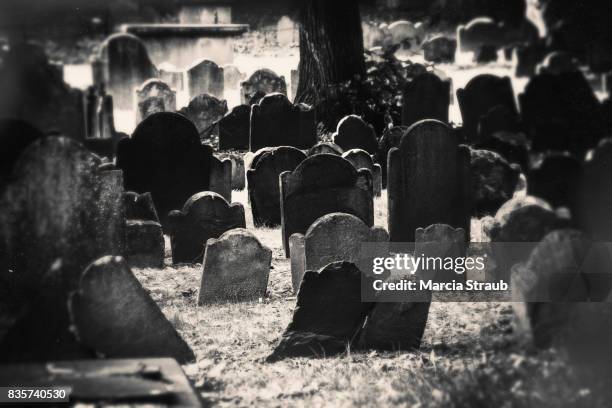 the old graveyard - spooky graveyard stock pictures, royalty-free photos & images