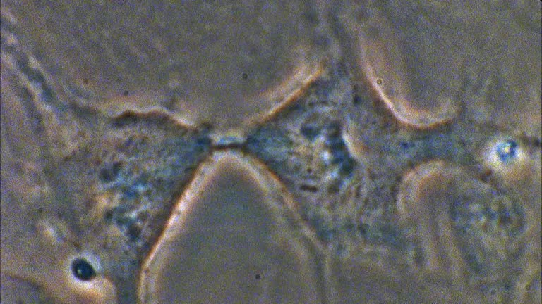 imagen en miniatura de vídeo