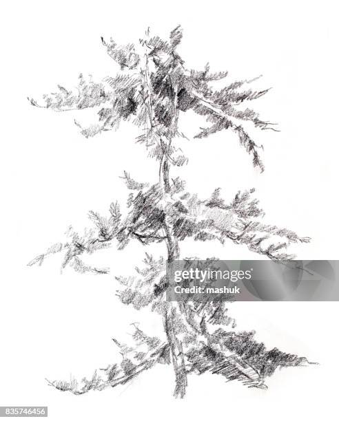 drawing - charcoal drawing stock illustrations