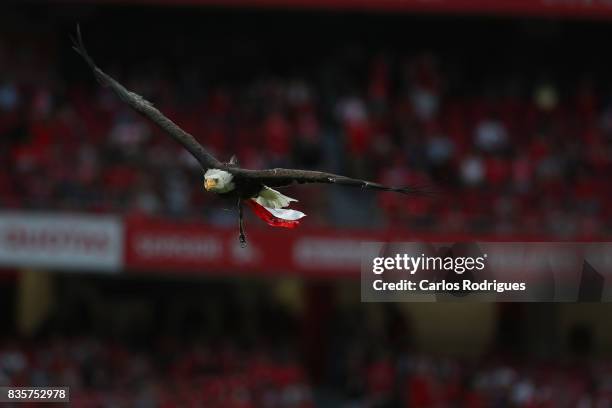 Benfica's mascot Vitoria the Eagle before the match between SL Benfica and CF Belenenses for the third round of the Portuguese Primeira Liga at...