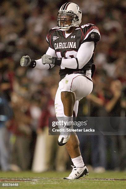 Eric Norwood of the South Carolina Gamecocks celebrates on the field during the game against the Tennessee Volunteers at Williams-Brice Stadium on...