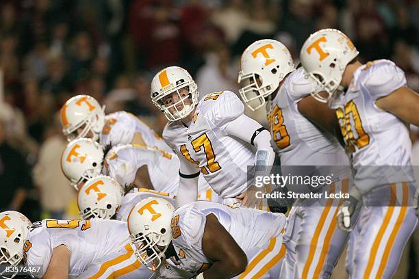 Quarterback Nick Stephens of the Tennessee Volunteers gets ready at the line during the game against the South Carolina Gamecocks at Williams-Brice...