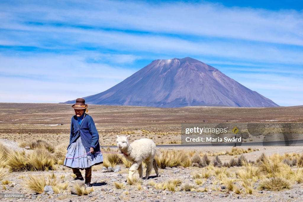 El Misto Volcano - Old woman with llama