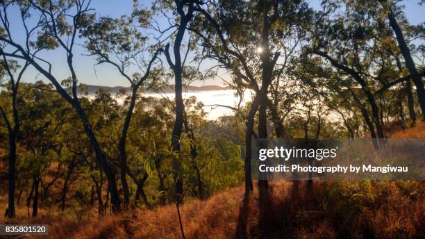 south palmer mist - cape york stock pictures, royalty-free photos & images