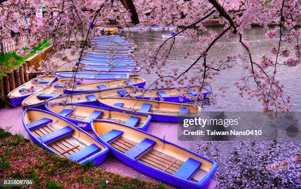 cherry deck - tohoku stockfoto's en -beelden