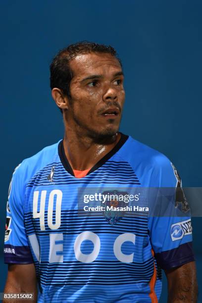 Leandro Domingues of Yokohama FC looks on during the J.League J2 match between Yokohama FC and Mito Hollyhock at Nippatsu Mitsuzawa Stadium on August...