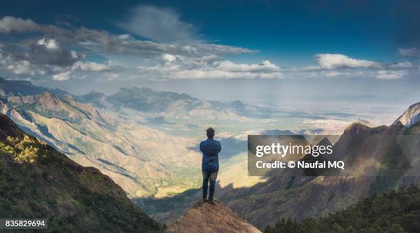 man standing on the peak of the mountain - standing on mountain peak stock pictures, royalty-free photos & images