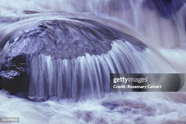 Colvert Rive 296 Calvert River Stock Photos, High-Res Pictures, and Images - Getty ...