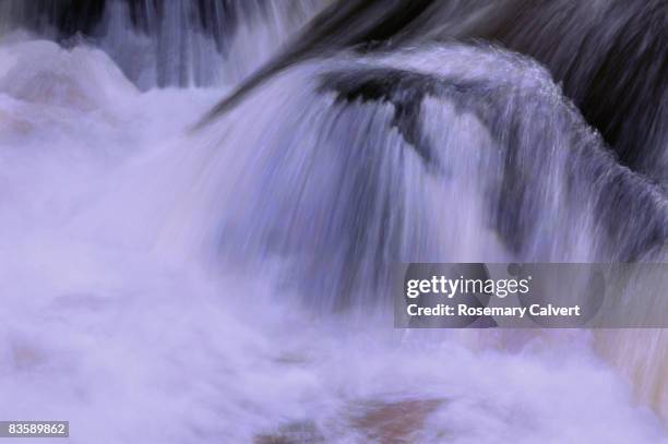 Colvert Rive 296 Calvert River Stock Photos, High-Res Pictures, and Images - Getty ...