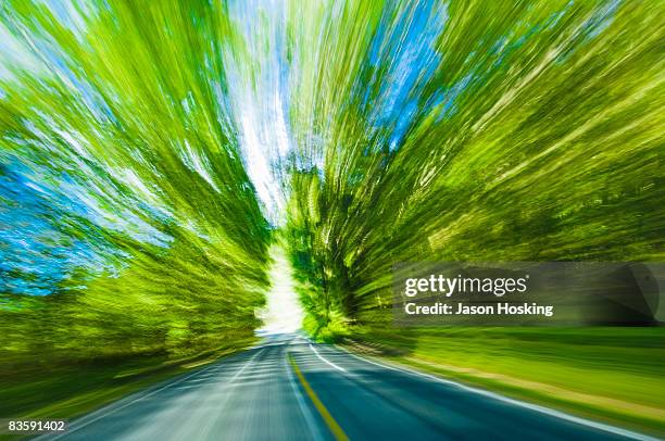 blurred motion view of road and trees - hochgefühl stock-fotos und bilder