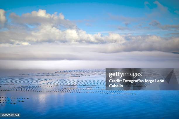 a view of the seafood farms in yal canal with low clouds and some reflections. - aquaculture stock pictures, royalty-free photos & images