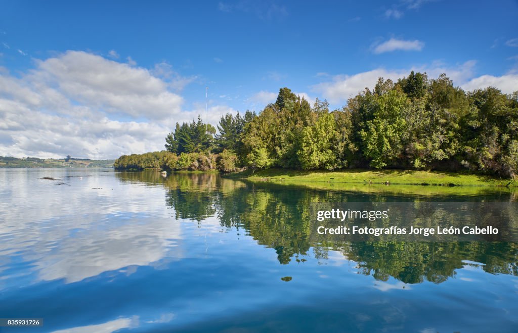 A view of the Yal canal shores with forest.