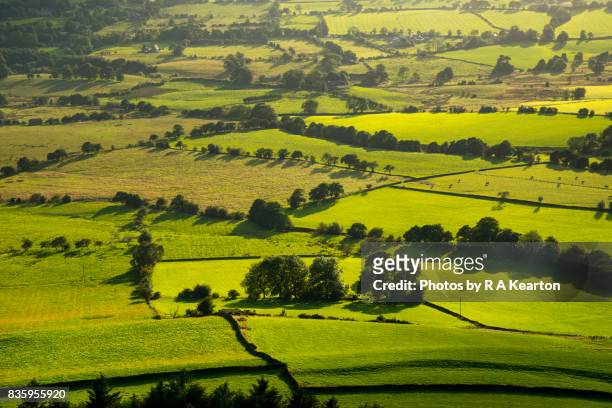 gorgeous green countryside, staffordshire, england - leek stock pictures, royalty-free photos & images