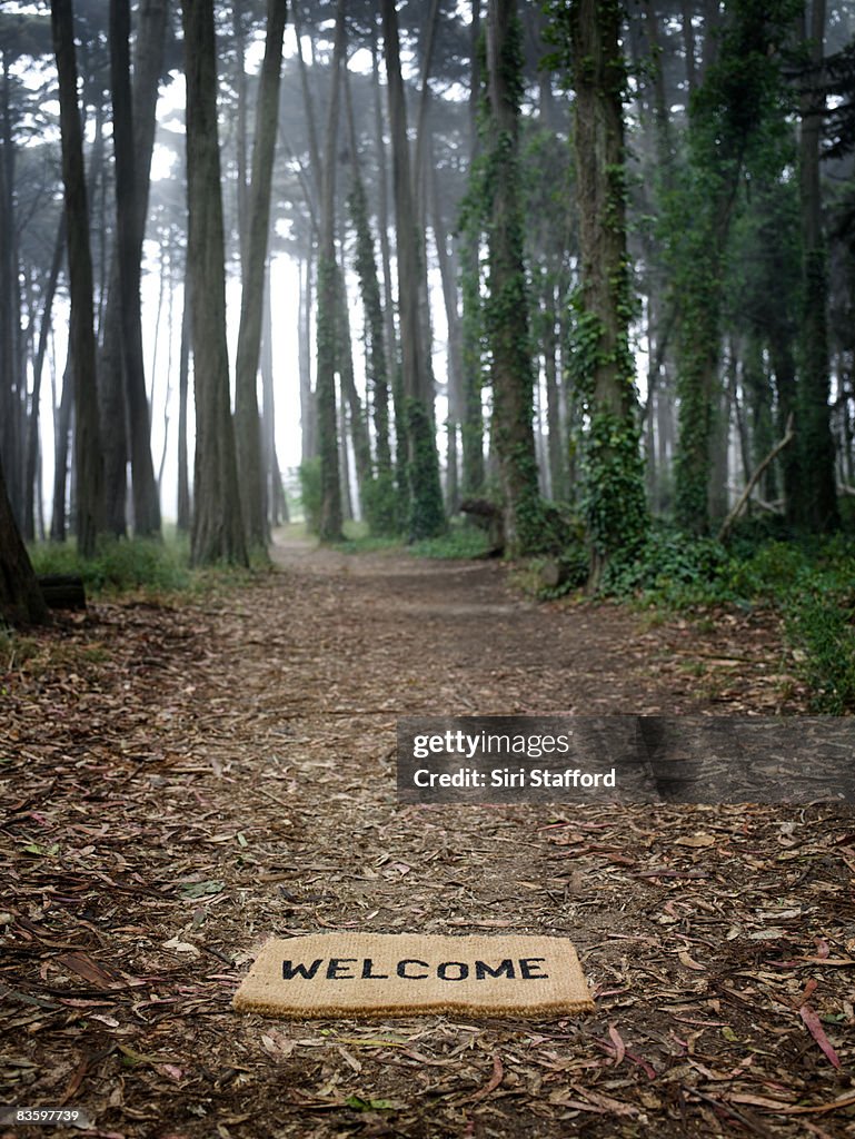 Welcome mat on ground at entrance to forest