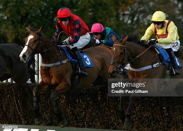 Alam ridden by S.P. Jones in action alongside Mandingo Chief ridden by Wilson Renwick during the Geneva Investment Group Handicap Steeple Chase race...