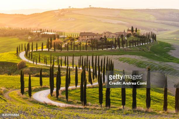 valdorcia, siena, tuscany. road of cypresses in a farmhouse at sunset - toskana stock-fotos und bilder