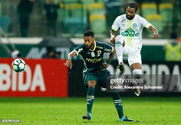 Michel Bastos of Palmeiras and Luiz Antonio of Chapecoense in action during the match between Palmeiras and Chapecoense for the Brasileirao Series A...