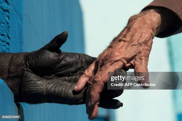 Chimpanzee holds the hands of Pedro Ynterian, President of the Great Apes Project , at a sanctuary for apes in Sorocaba, some 100km west of Sao...
