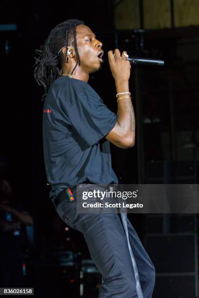 Rapper Joey Bada$$ performs in support of the Everybody's Tour at Meadow Brook Music Festival on August 20, 2017 in Rochester, Michigan.