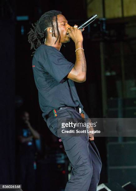 Rapper Joey Bada$$ performs in support of the Everybody's Tour at Meadow Brook Music Festival on August 20, 2017 in Rochester, Michigan.
