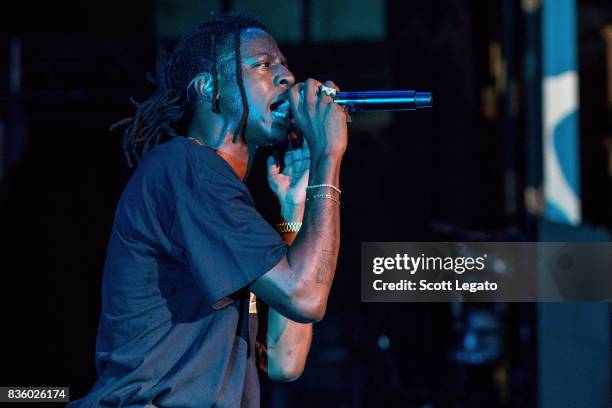 Rapper Joey Bada$$ performs in support of the Everybody's Tour at Meadow Brook Music Festival on August 20, 2017 in Rochester, Michigan.