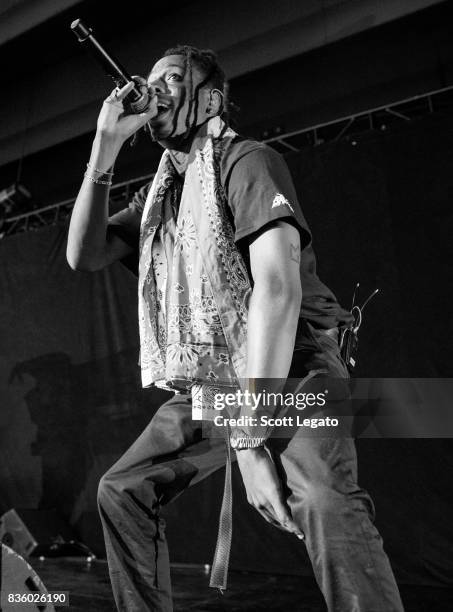 Rapper Joey Bada$$ performs in support of the Everybody's Tour at Meadow Brook Music Festival on August 20, 2017 in Rochester, Michigan.