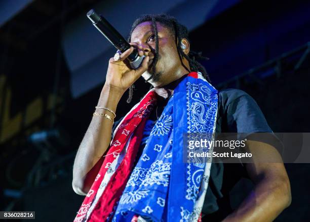 Rapper Joey Bada$$ performs in support of the Everybody's Tour at Meadow Brook Music Festival on August 20, 2017 in Rochester, Michigan.