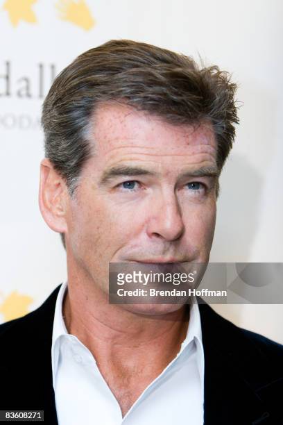 Actor Pierce Brosnan appears at the Jane Goodall Institute's second annual Global Leadership Awards on November 7, 2008 in Washington, DC. The awards...