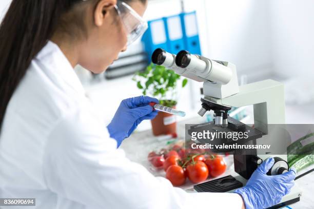 microbiologa donna che usa il microscopio in laboriosità - cibo foto e immagini stock