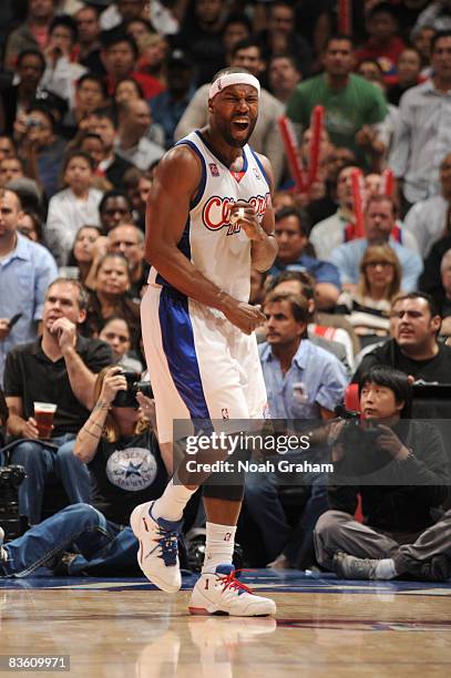 Baron Davis of the Los Angeles Clippers reacts during the game against the Houston Rockets at Staples Center on November 7, 2008 in Los Angeles,...