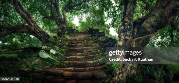 wat phu (meaning mountain temple) - ruined photos et images de collection