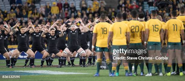 August 19: The All Blacks do the Haka before The Rugby Championship Bledisloe Cup match between the Australian Wallabies and the New Zealand All...