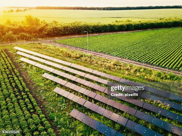 alimentation solaire pour la ferme - country stock photos et images de collection