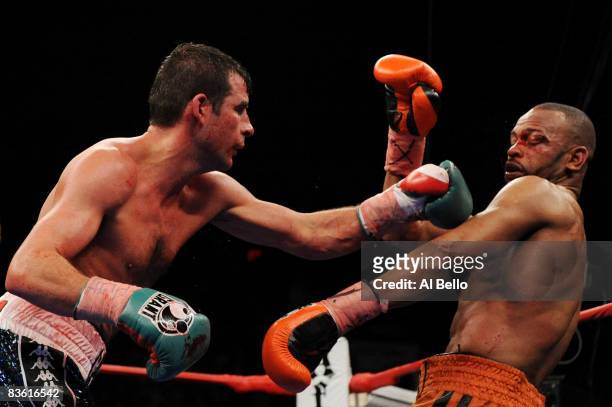 Joe Calzaghe of Wales punches Roy Jones Jr during their Ring Magazine Light Heavyweight Championship bout at Madison Square Garden November 8, 2008...