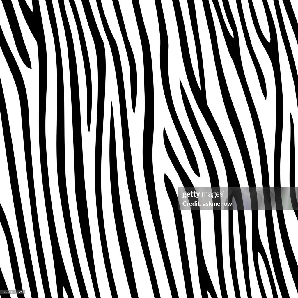 Naadloze zebra huid patroon