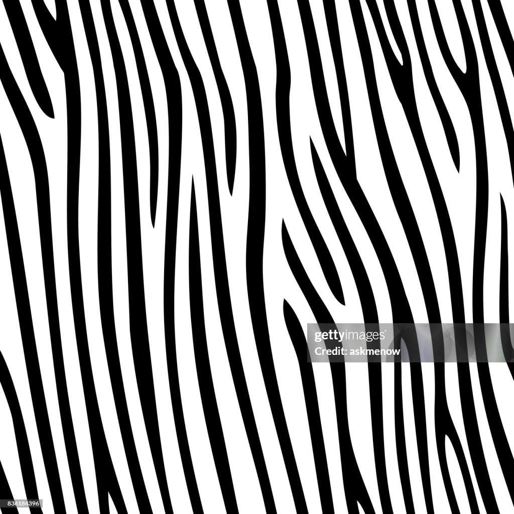 Seamless zebra skin pattern