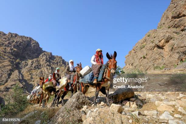 Turkey Riding Donkey Donkey Milk Photos and Premium High Res Pictures - Getty Images