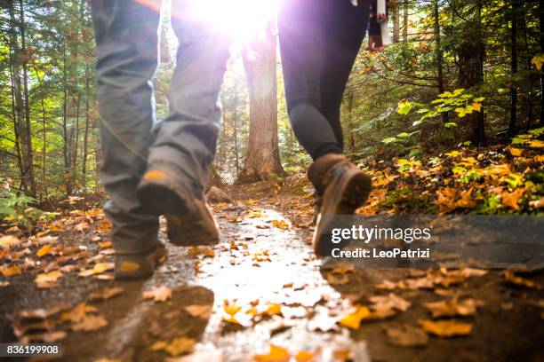 junges paar wandern in den bergen auf einem wanderweg in kanada - gemeinsam gehen stock-fotos und bilder