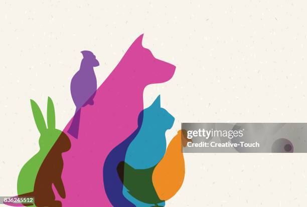 pets - pet shop stock illustrations