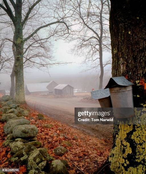 fairlee, vermont-3 - sap stock pictures, royalty-free photos & images