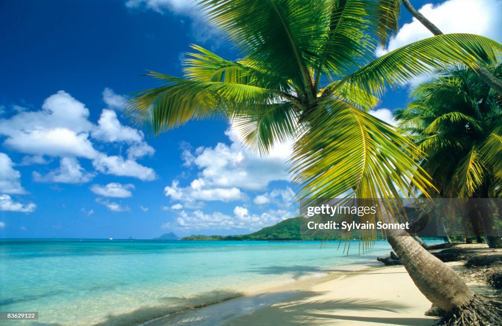 SAINTE ANNE BEACH, MARTINIQUE, CARIBBEAN